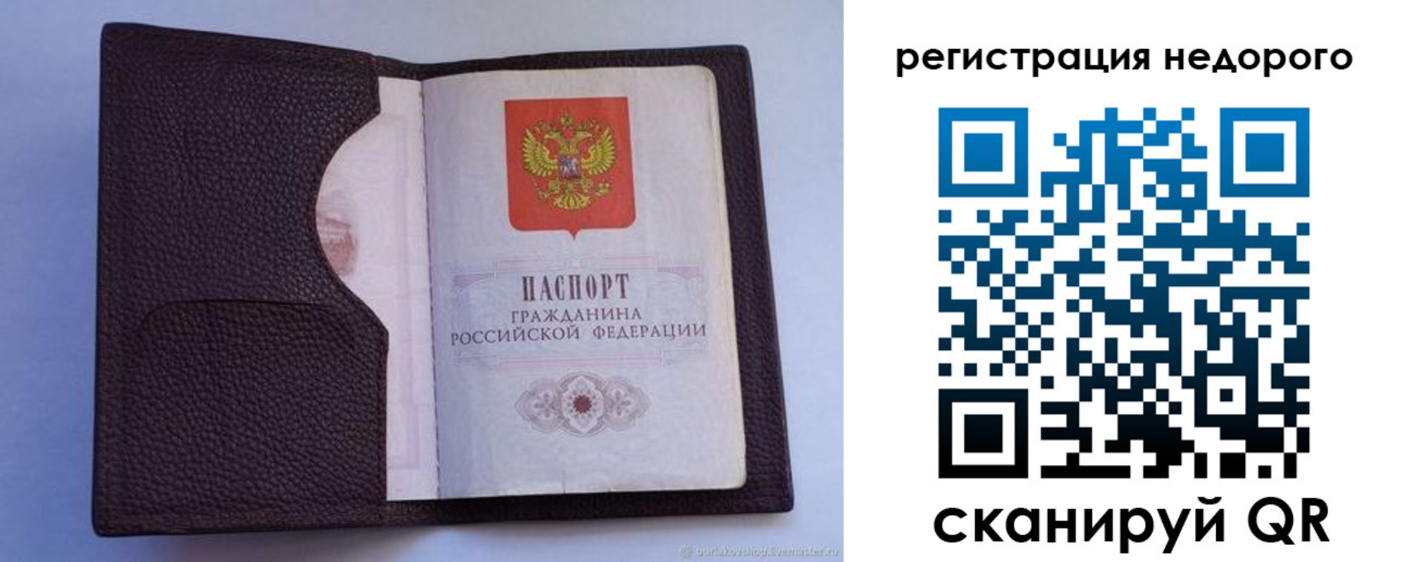 где прописаться в Кировске